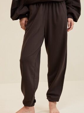 Aerie Jet Setter Jogger